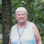 Patricia Dahl Whaley - @patdwhaley - Instagram