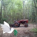 Patricia Whaley Maddox - @patricia.w.maddox - Instagram