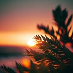 Patricia Whitton - @patricia_whitton22432078 - Instagram