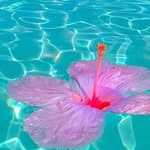Patricia Wightman Tromp - @patriciawightmantromp - Instagram