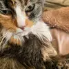 patricia.winter26 - @patricia.winter26 - TikTok