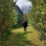 Patricia A. Wray - @patricia.a.wray - Instagram