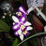 Patricia Wray Jackowski - @patriciawrayjackowski - Instagram