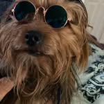 Patricia Wright - @patricia.odonnell.wright - Instagram