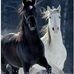 Patricia Xavier - Facebook