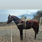Patricio Barrera - @patricio.barrera.108 - Instagram