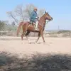 Patricio Barrera - @patriciobarrera00 - TikTok