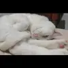 patriciobarrera7 - @patriciobarrera7 - TikTok