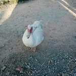 Patricio Cano - @patriciocano5 - Instagram