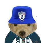Patricio Cano - @patriciocano9 - Instagram