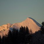 Patrick Adamowitz - @patrickadamowitz - Instagram