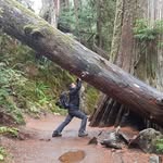 Patrick Aerts - @patrick.aerts.1000 - Instagram