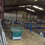 Patrick Culli Agri Pics - @patrickculliagri - Instagram