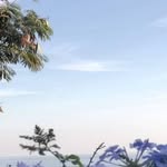 Patrick Aiken - @darenv942000 - Instagram