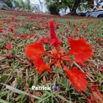 Patrick Alamelou - @patrickalamelou - Instagram