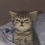 JamJam - @albarracinjamespatrick - Instagram