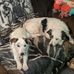 Patrick W Alderton - Facebook