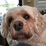 Patricia Aleshire Briggs - @patriciarn915 - Instagram