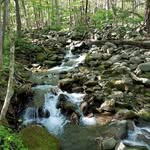 Patrick Aleshire - @aleshirepatrick - Instagram