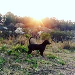 patrick alfonso - @patrick_alfonsolino - Instagram
