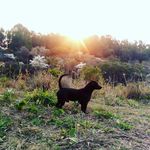 patrick alfonso - @patrick_alfonsolino - Instagram