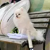 Patrickalfred213 - @patrickalfred213 - TikTok