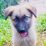 Patrick - @patrickaliganyira - Instagram