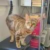Patrick Allemann - @patrick.allemann - TikTok