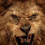 Patrick Alston - @alston_patrick - Instagram