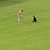 pdaltsgolf - @patrick_dalton - TikTok