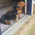 Patrick Alward - Facebook