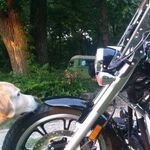 Patrick Ament - @patrick.ament.71 - Instagram