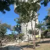 Patrickamente - @patricamente16 - TikTok