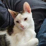 Patrick Ammons - @patrick.ammons - Instagram