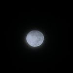 @__patrickangeles - Instagram