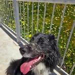 Timothy Patrick Antonelli - Facebook