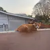 patrickapancake - @patrickapancake - TikTok