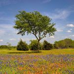 Patrick Appel - @independencephoto - Instagram