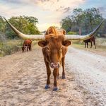 Patrick Appel - @appelphoto - Instagram
