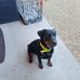 Patrick Armbruster - Facebook
