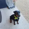 patrickarmbruster - @patrickarmbruster - TikTok
