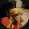 patrickbaumeister - @patrickbaumeister - TikTok