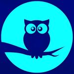 Patrick Arndt - @patrick.arndt.739 - Instagram
