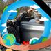 Patrick Ashcraft - Facebook