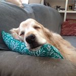 Patrick Aubin - @aubin630 - Instagram