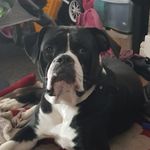 Shaun Patrick Ayres - @shaunpatrickayres - Instagram