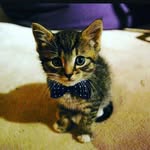 Patrick Baca - @_emu_power_ - Instagram