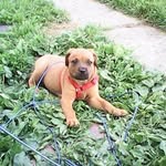 Patrick Baird - @patjbaird - Instagram