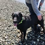 Patrick Bangerter - @bangerterpatrick - Instagram