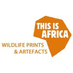 Patrick Barden - @thisisafricaartefacts - Instagram